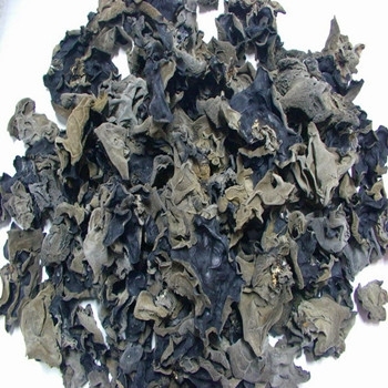 烘干樣品4